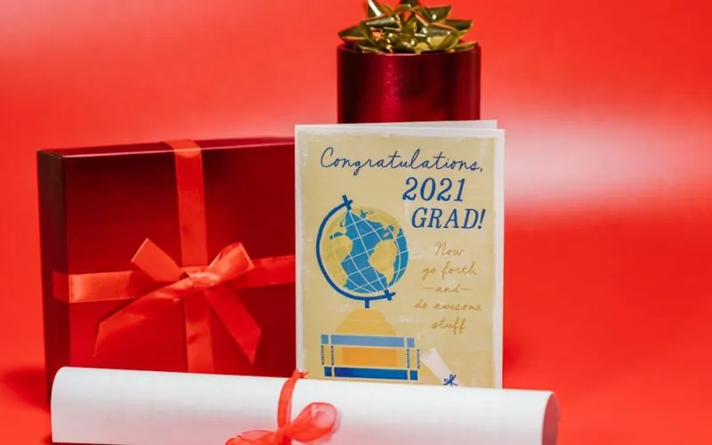 image_68209d46dba665.39941466-1