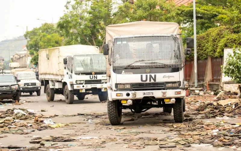 image_68209d4dba3932.63873364-1 image_68209d4dba3932.63873364-1