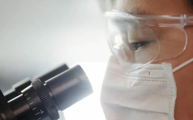 image_68209d4f53ae95.75536972-1